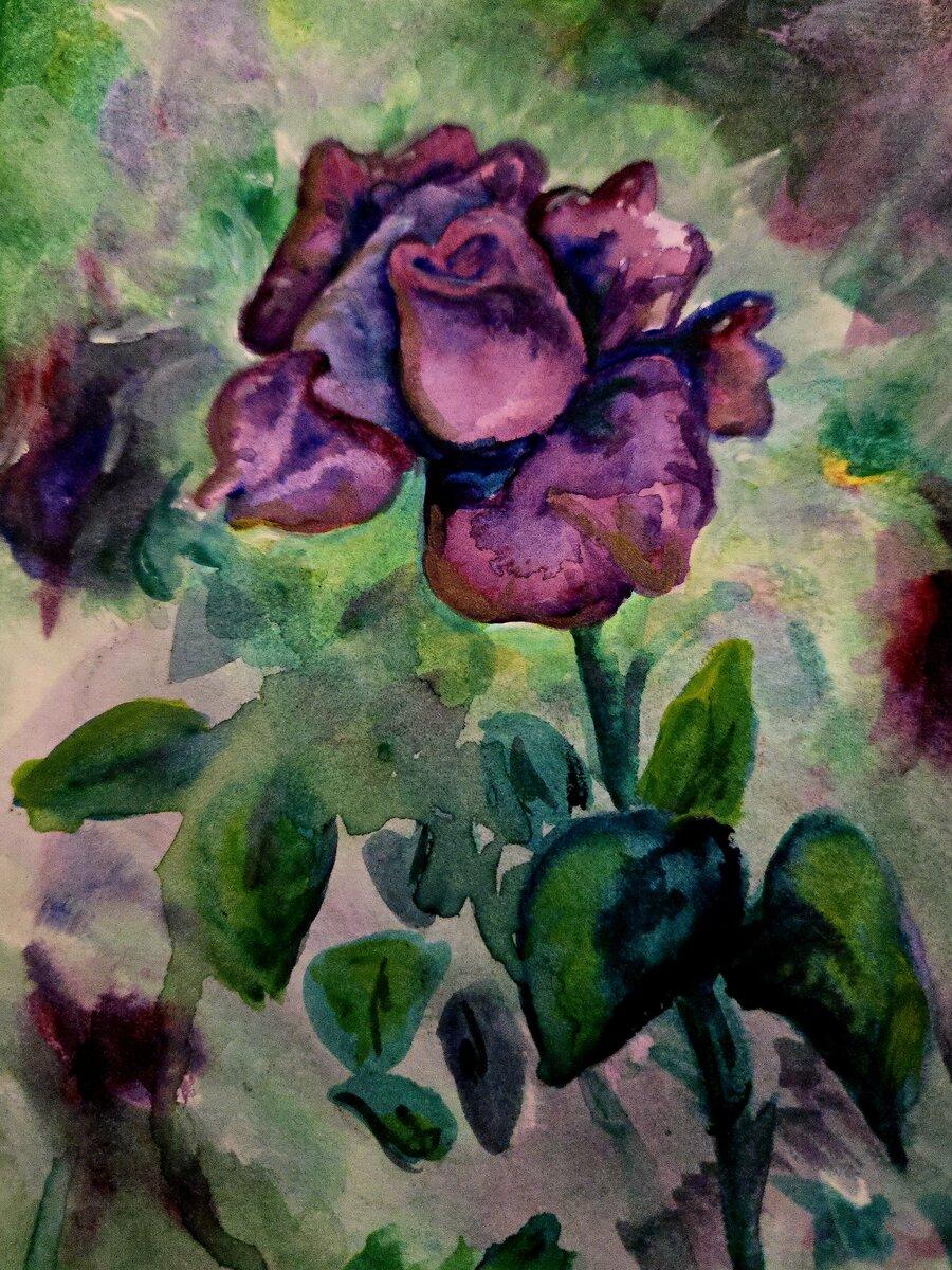 Purple Tiger Rose