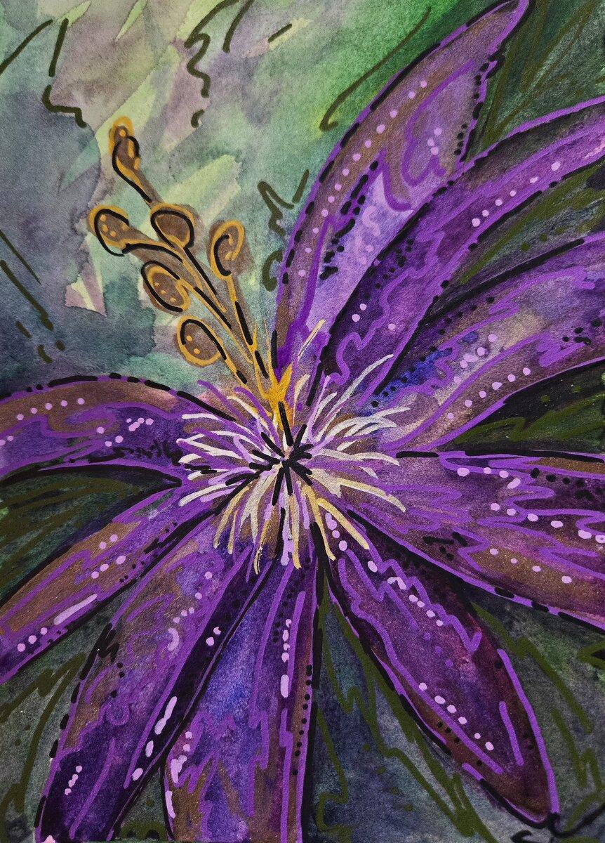Purple Passion Flower