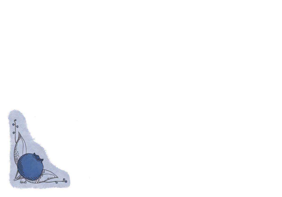 Monochromatic Blueberry