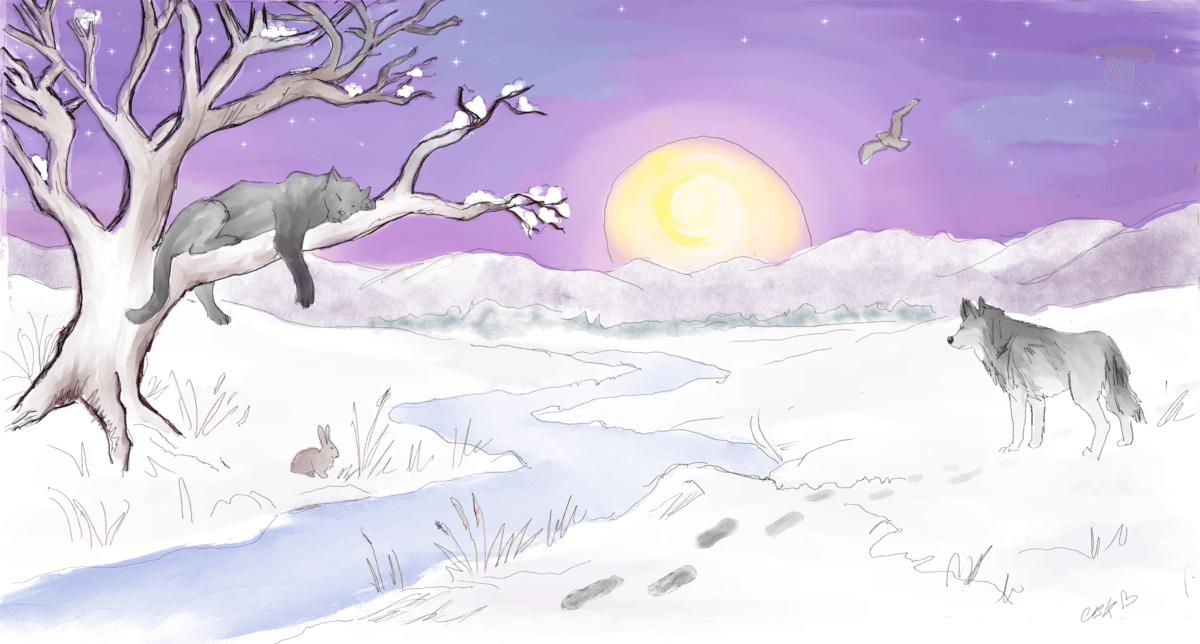 Midnight Sun