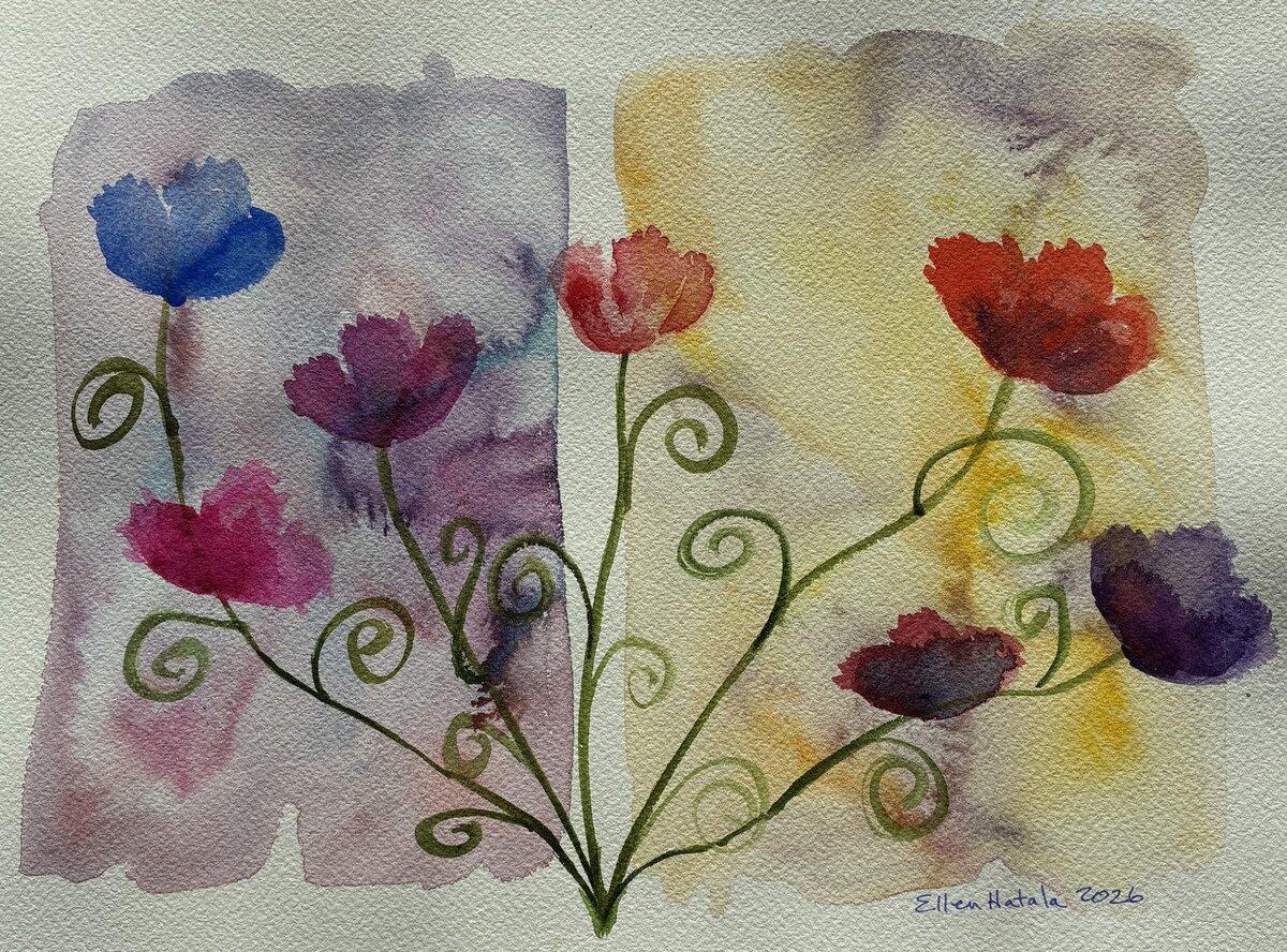 Field poppies