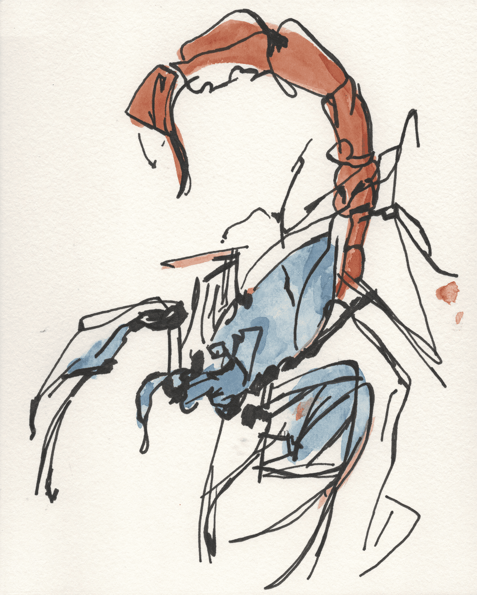 Scorpion