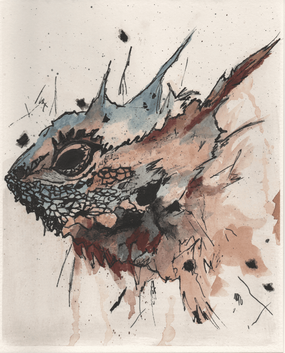 Texas Horned Lizard