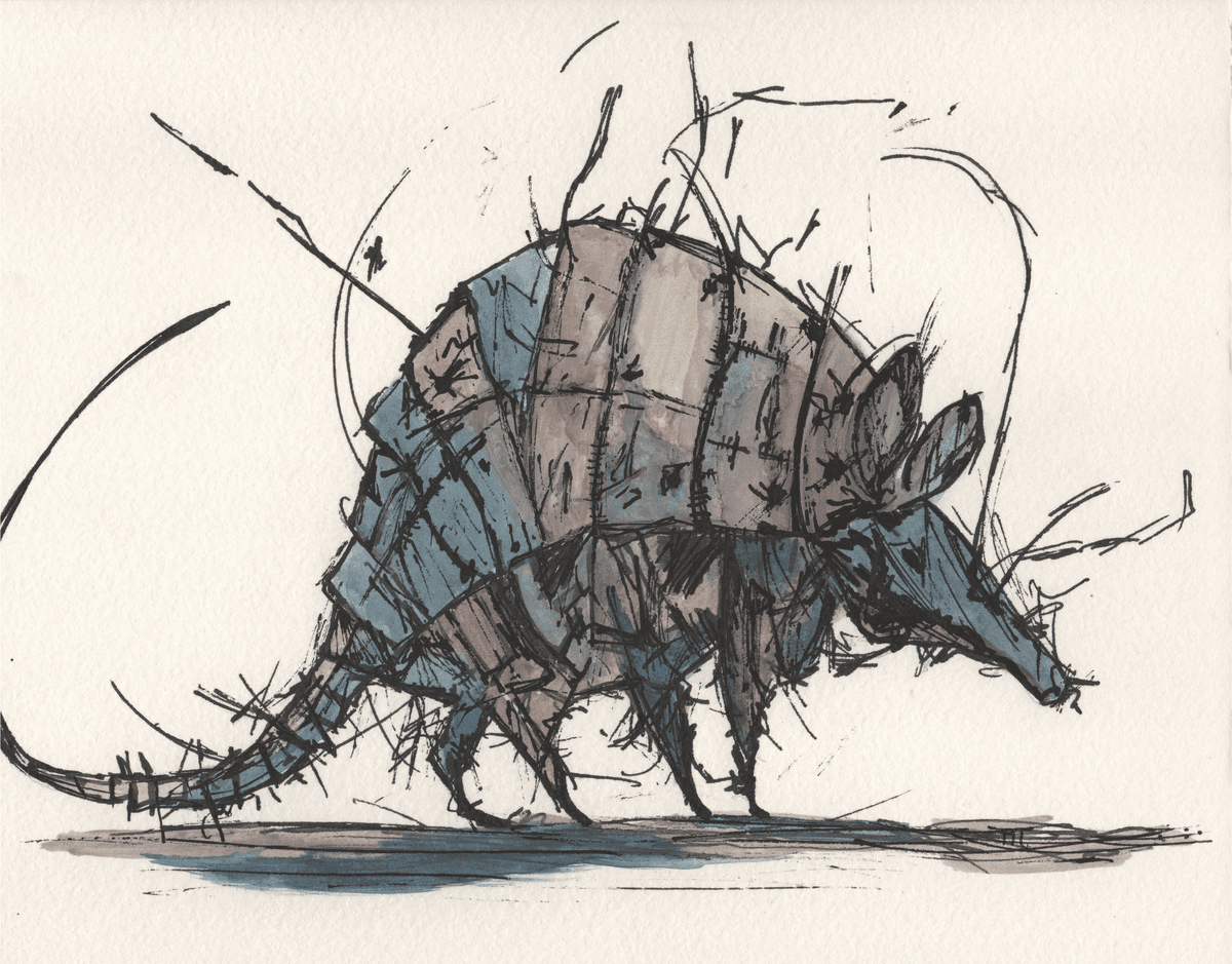 Nine Banded Armadillo