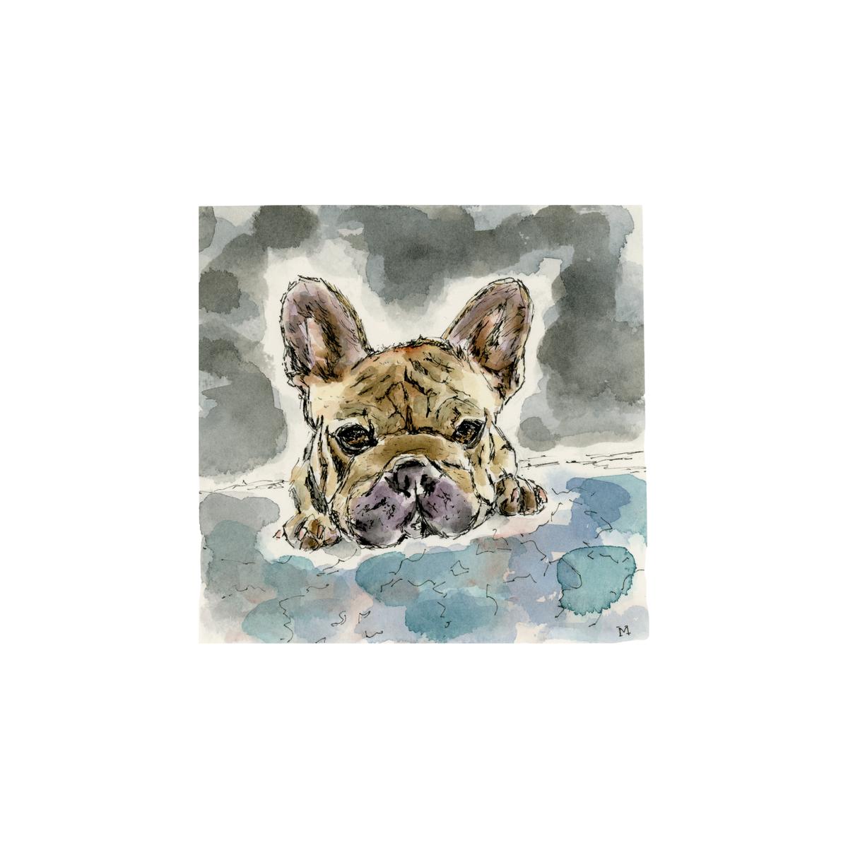 Frenchie at Rest