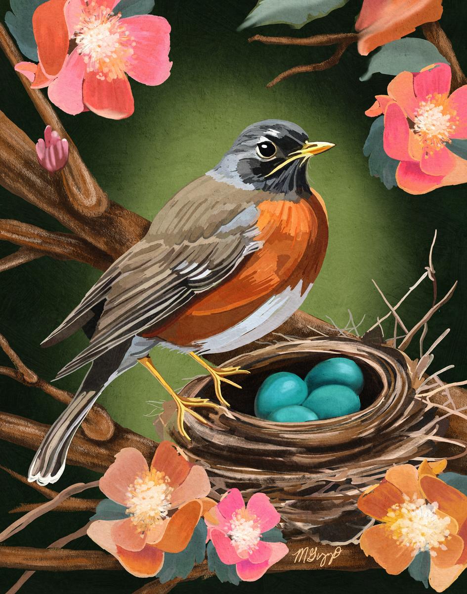 Nature's Cradle: The Robin's Watch