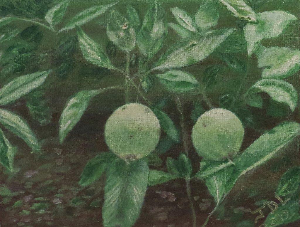 Apples!