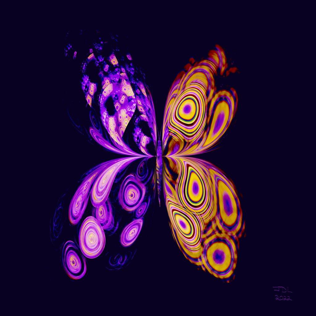 A Parti-Colored Butterfly