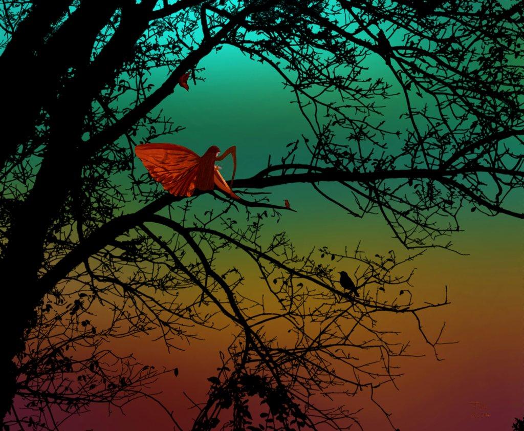 Serenading the Magic Hour