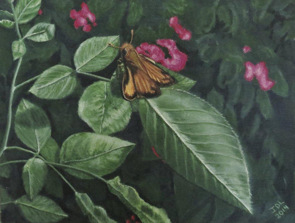 Zabulon Skipper
