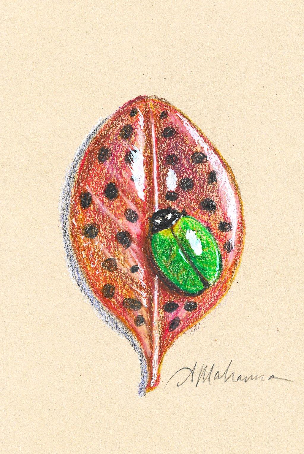 Tiny Things, Reimagined