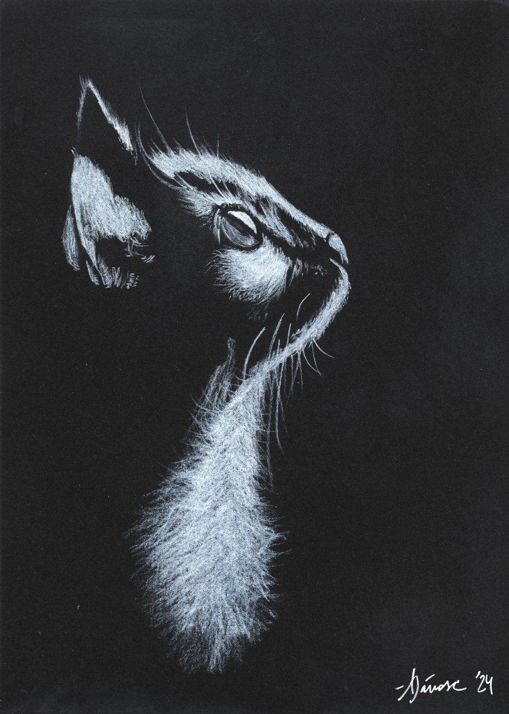 Captivated Kitty