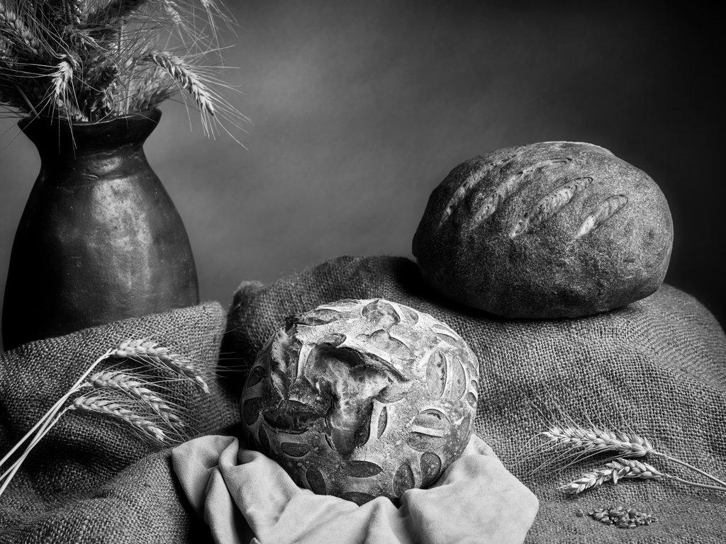 Black and white still life of bread