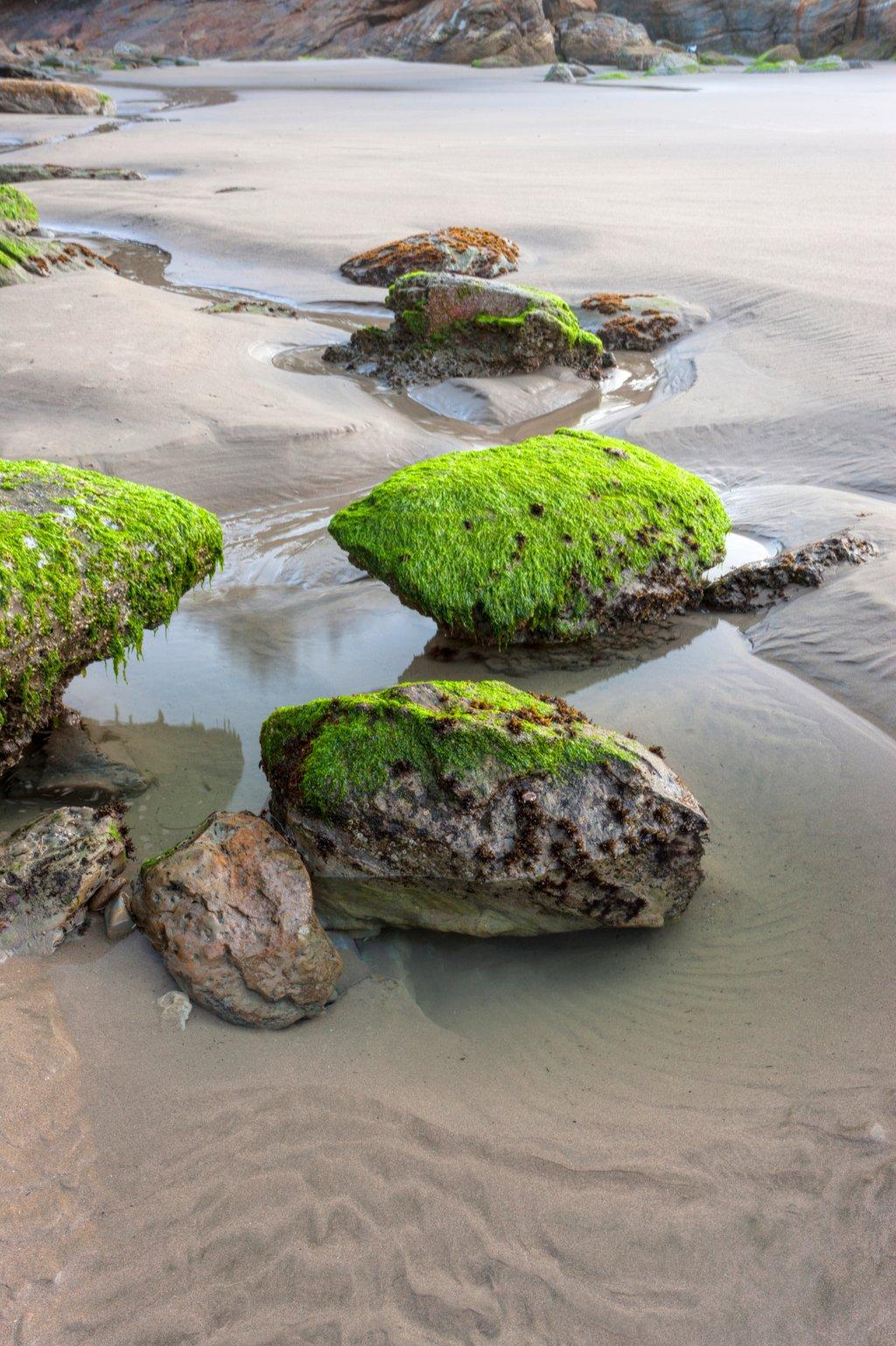 Rocks and small pool of water