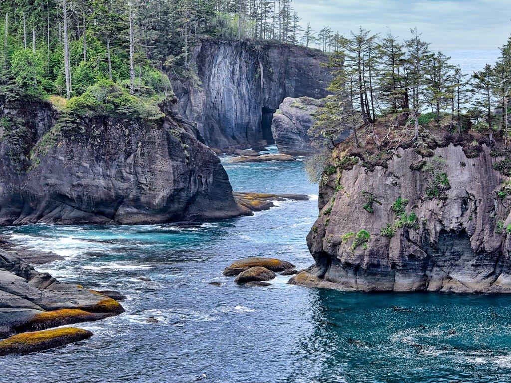 Seastacks and trees in Cape Flattery