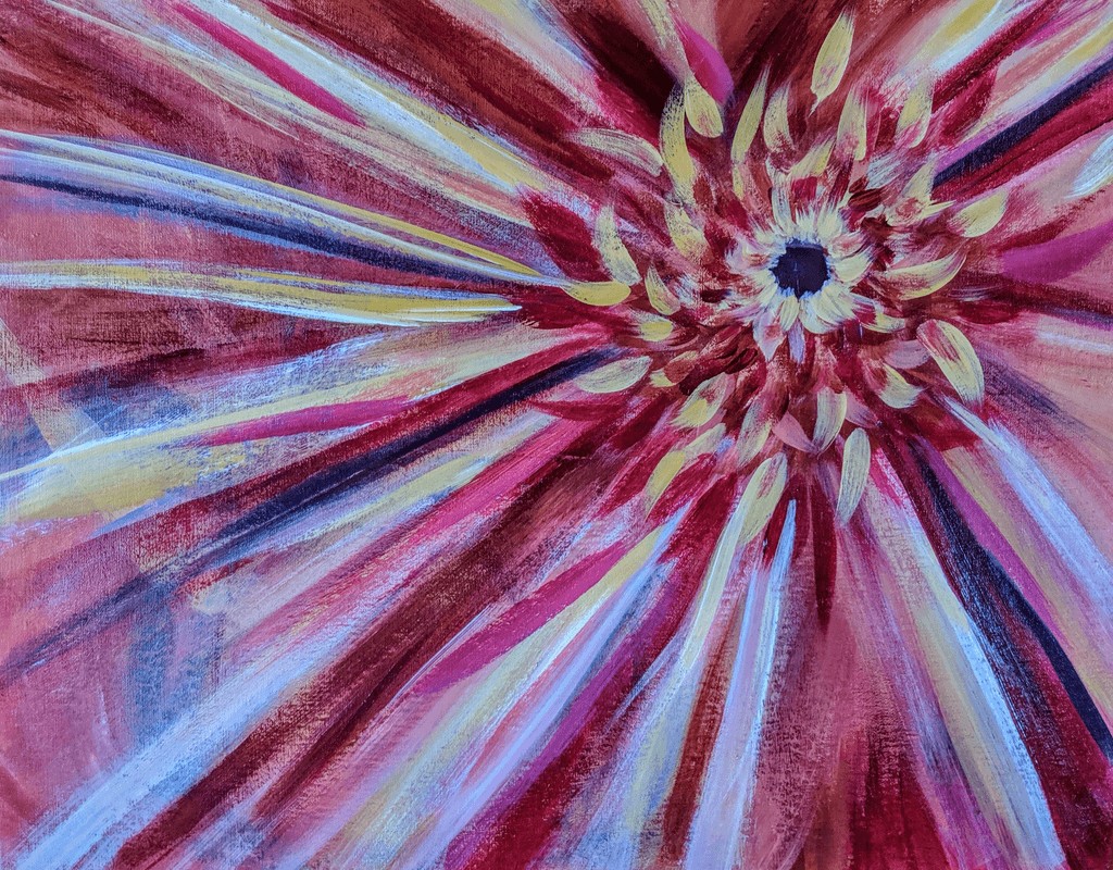 Crimson Radiating Sunflower