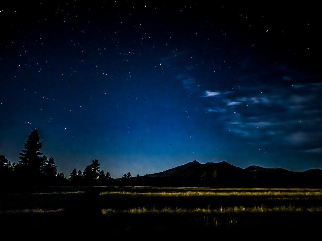 Star Lit Night