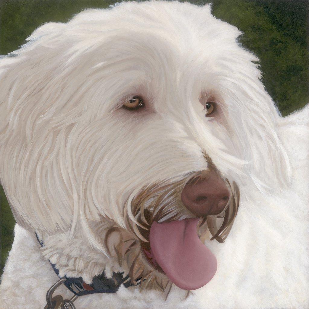 Oliver