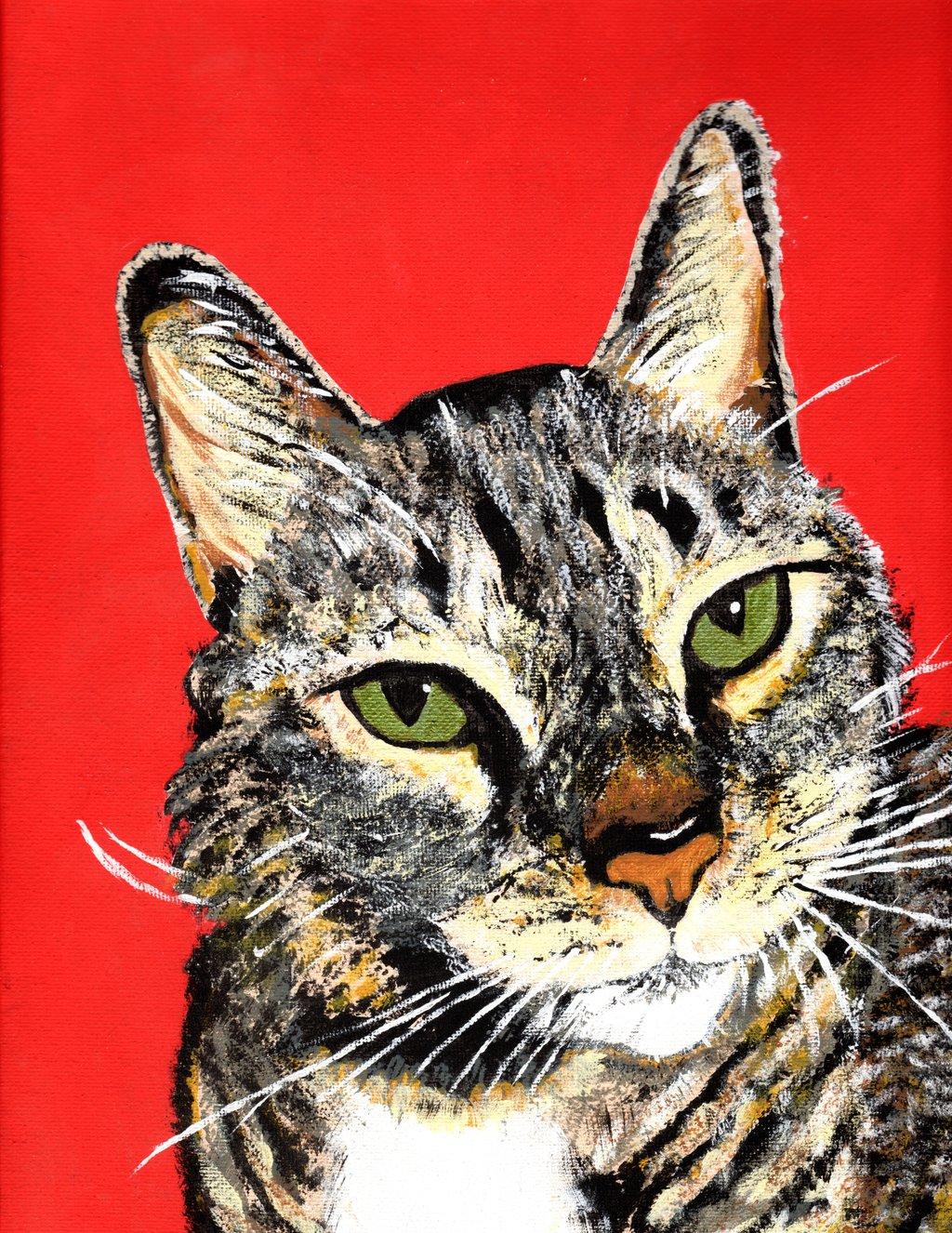 Miss Kitty