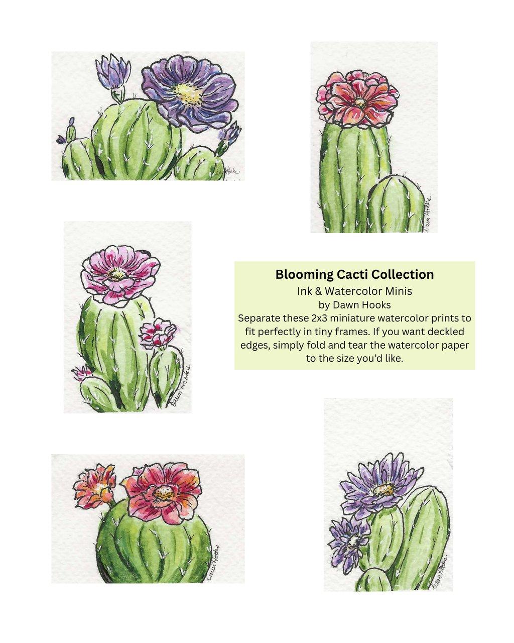 Blooming Cacti Minis