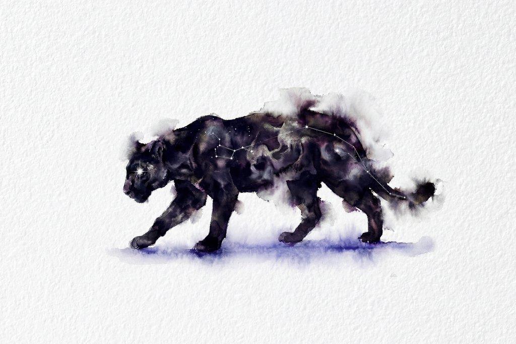 Northern Obsidian Series: The Mountain Lion