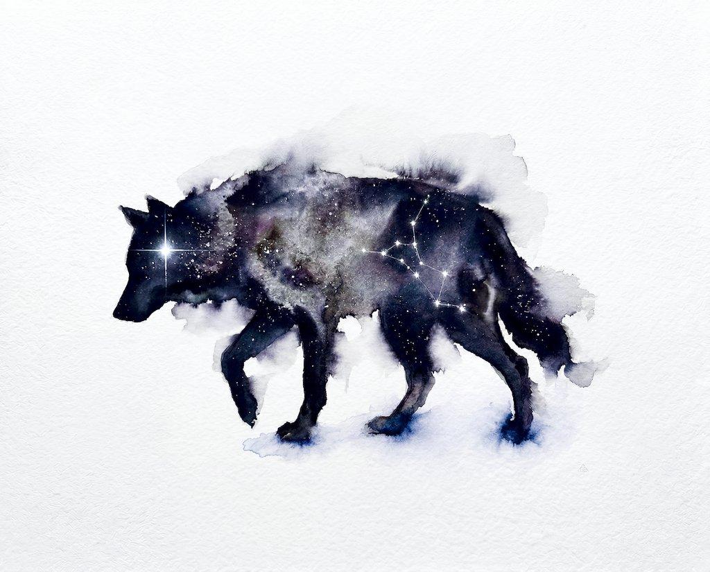 Northern Obsidian Series: The Celestial Wolf