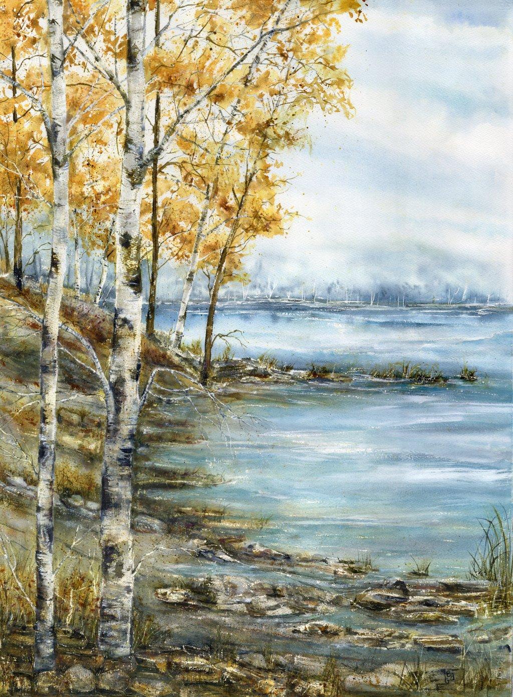 Fall birch trees on the Rock shoreline