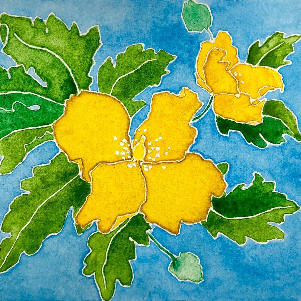 Celandine Poppy