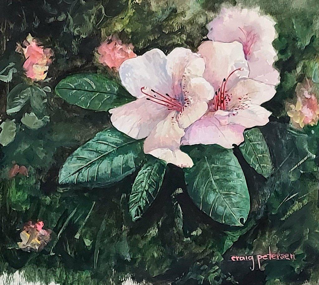 Rhododendron