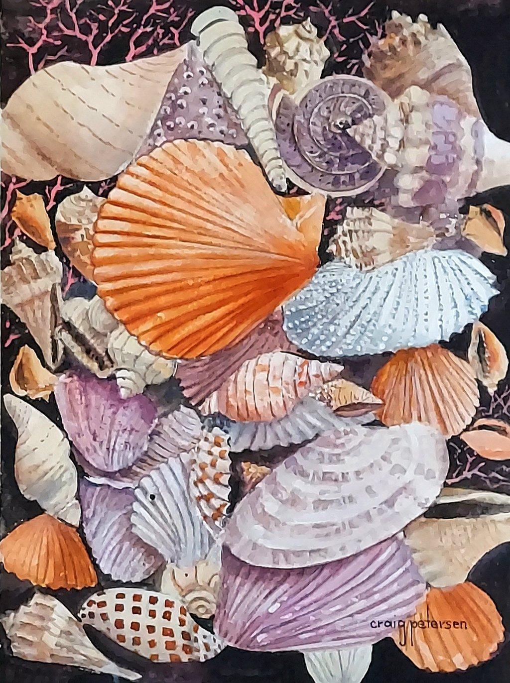 Sanibel Shells