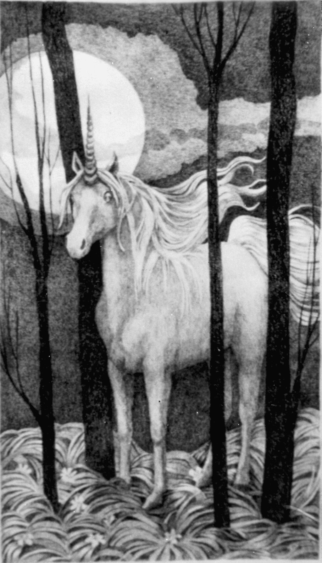 Unicorn in Moonlight