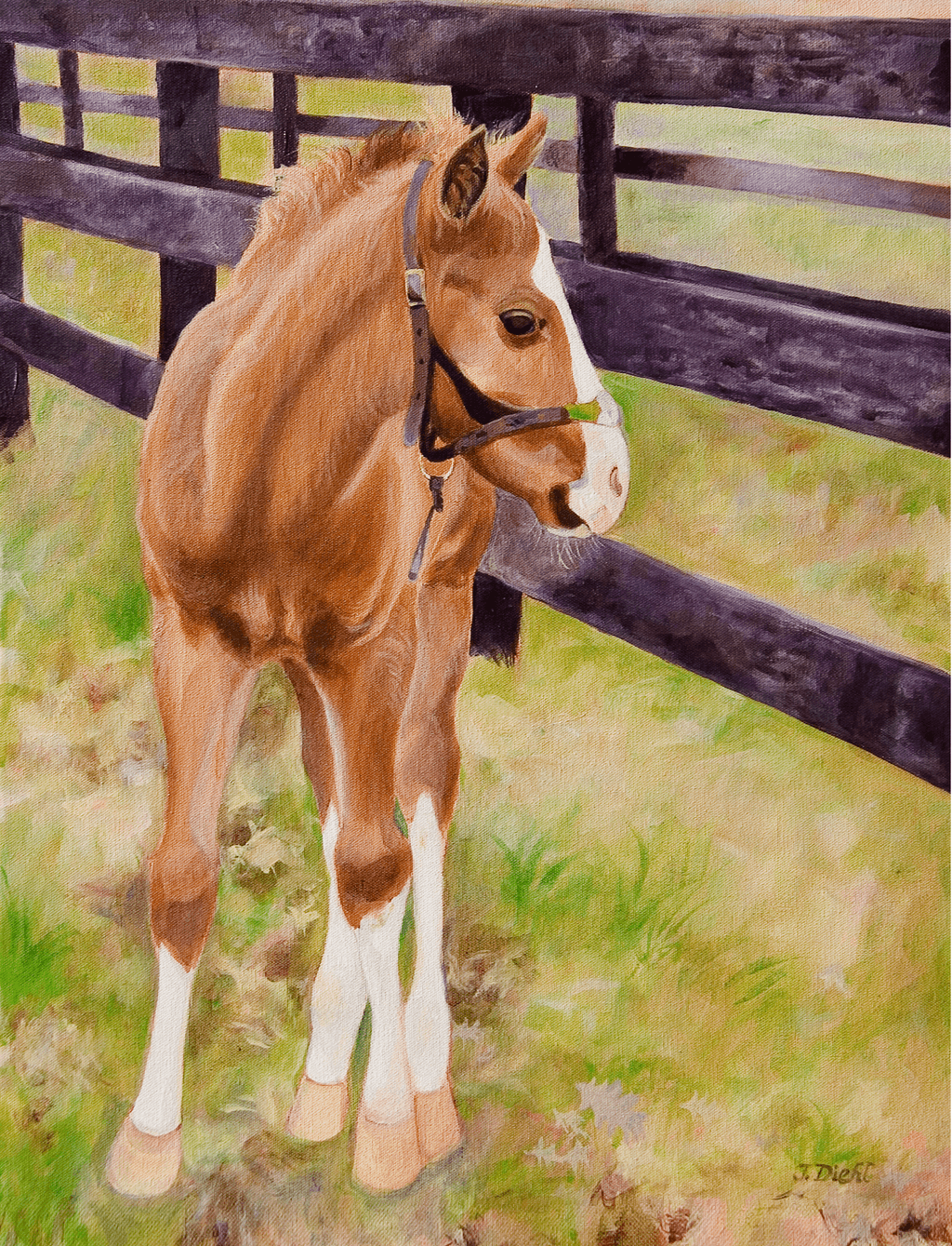 Chestnut Foal in Spring