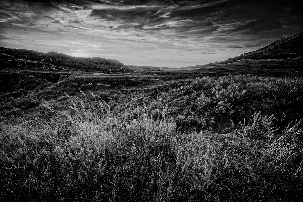 The Grasslands of Theodore Roosevelt National Park