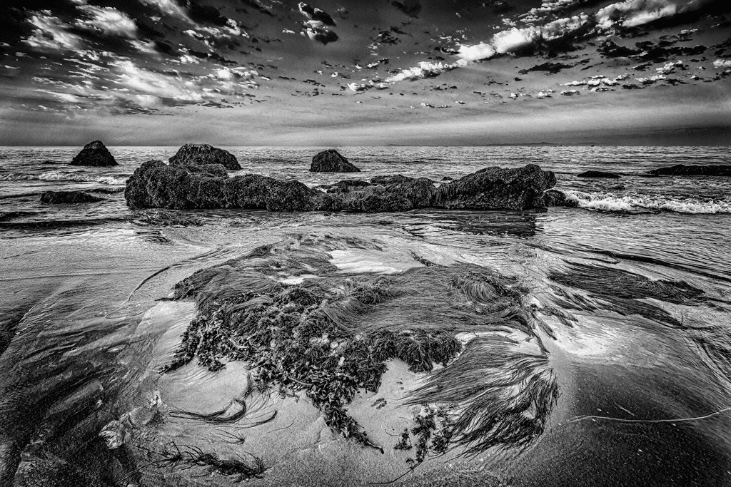 Early Sunrise: Carpinteria Beach at Low Tide