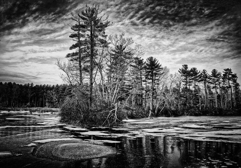 October Farms: Early Freeze on the Concord Shore