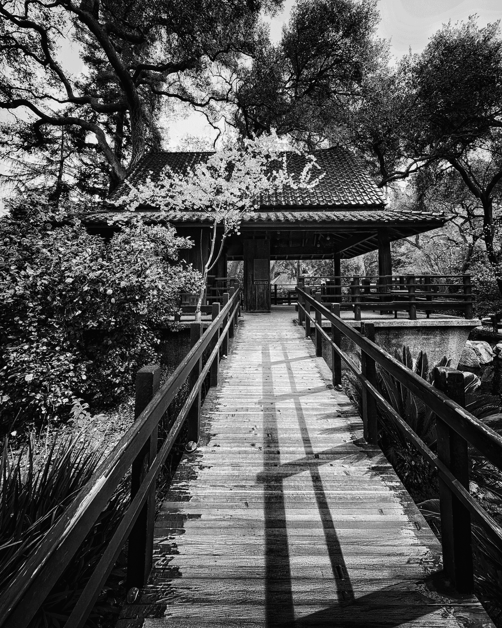 Zen Pathways: Japanese Garden Pavilion
