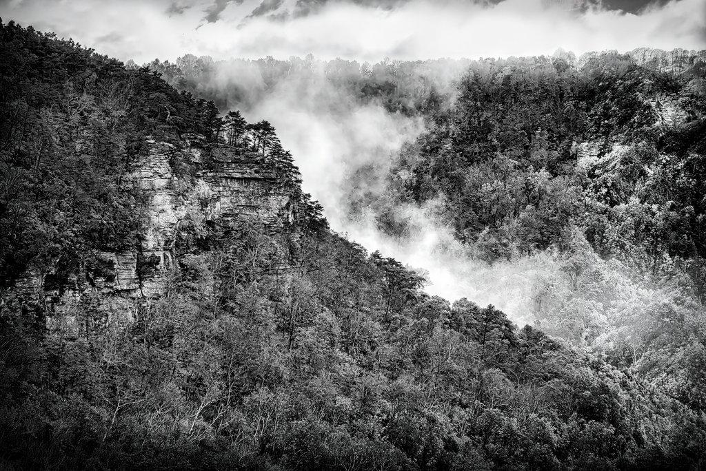 Veil of the Canyon: Morning Mist over Little River