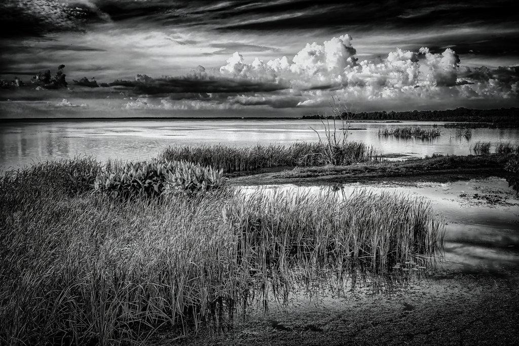 Horizon’s Breath: Lake Apopka
