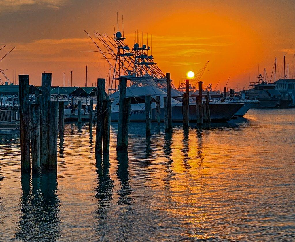 Sunset Harbor