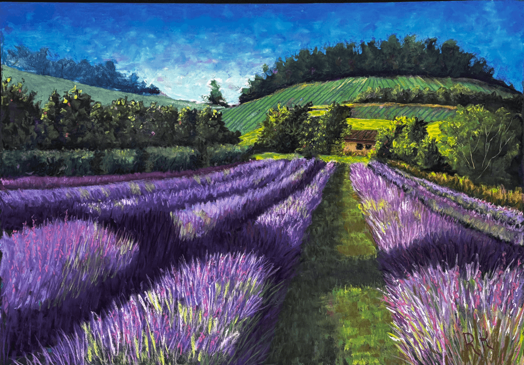 Lavender Fields