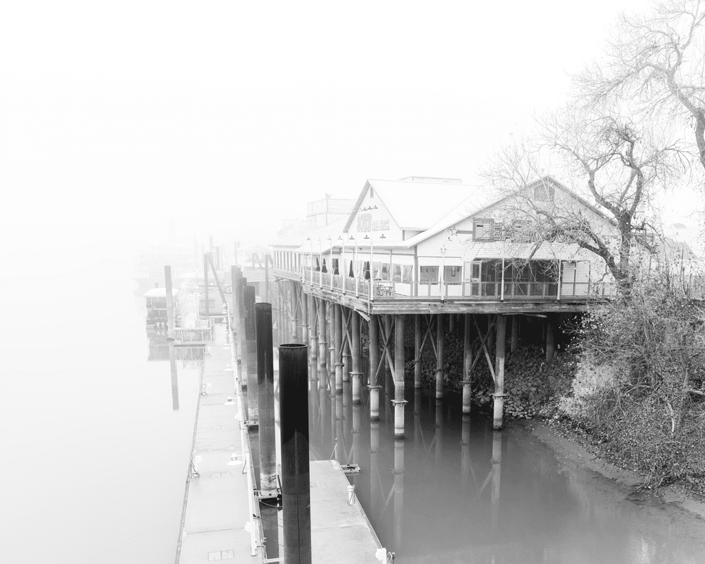 Foggy Morning