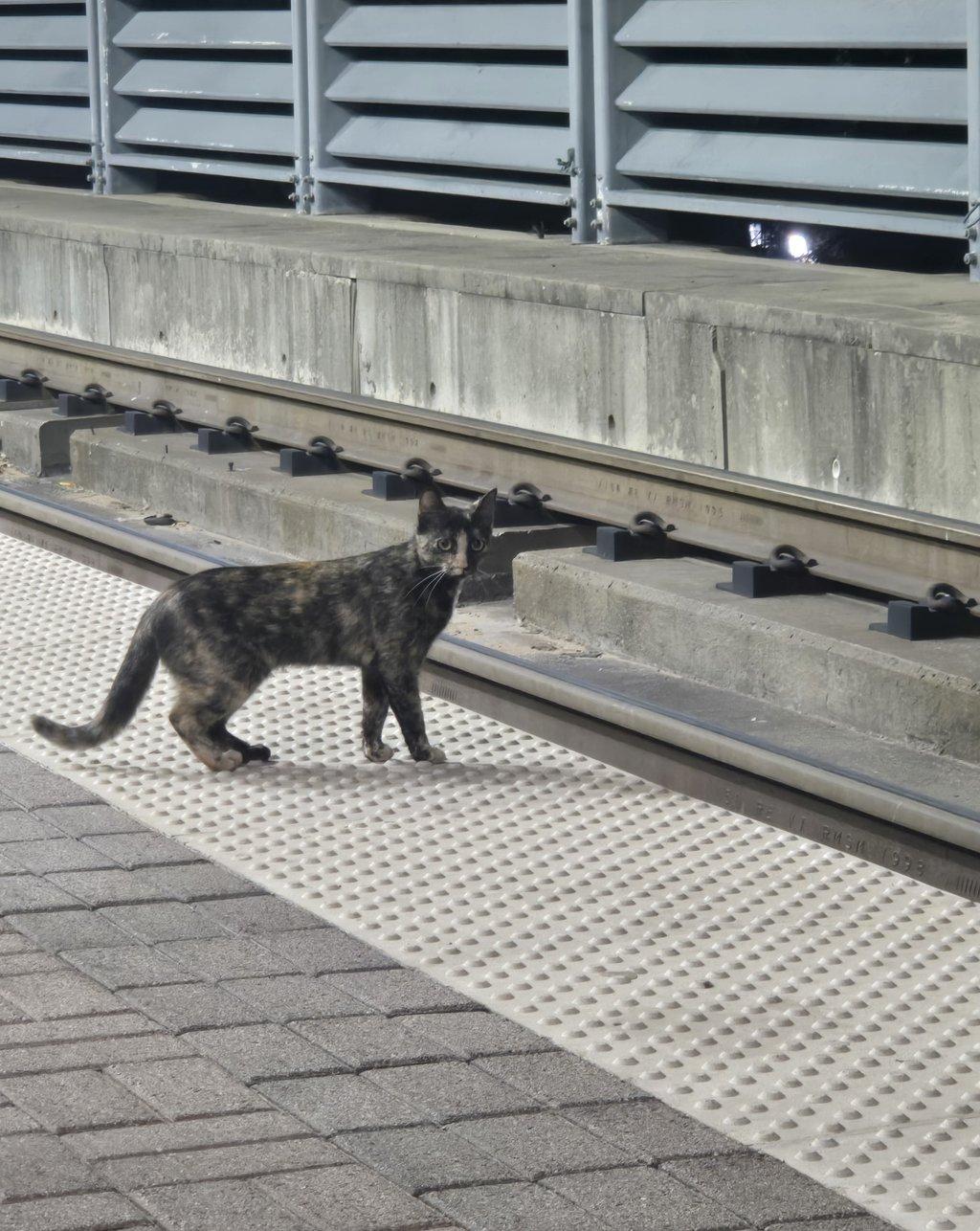 Waiting For The Train