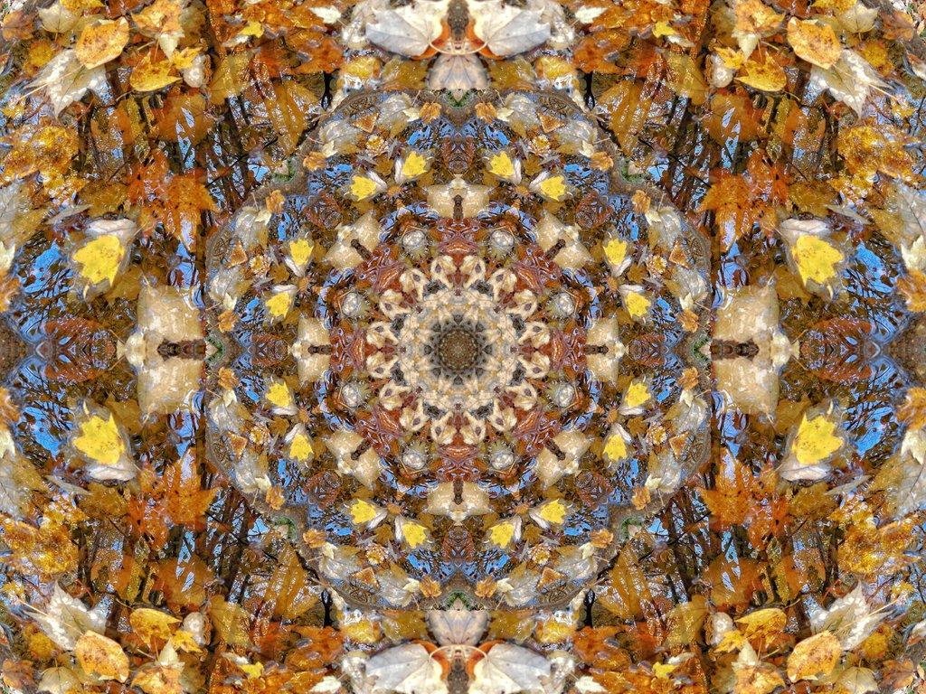 Leaf Sky and Water Mandala