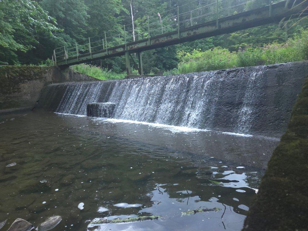 Dam in forest Creek