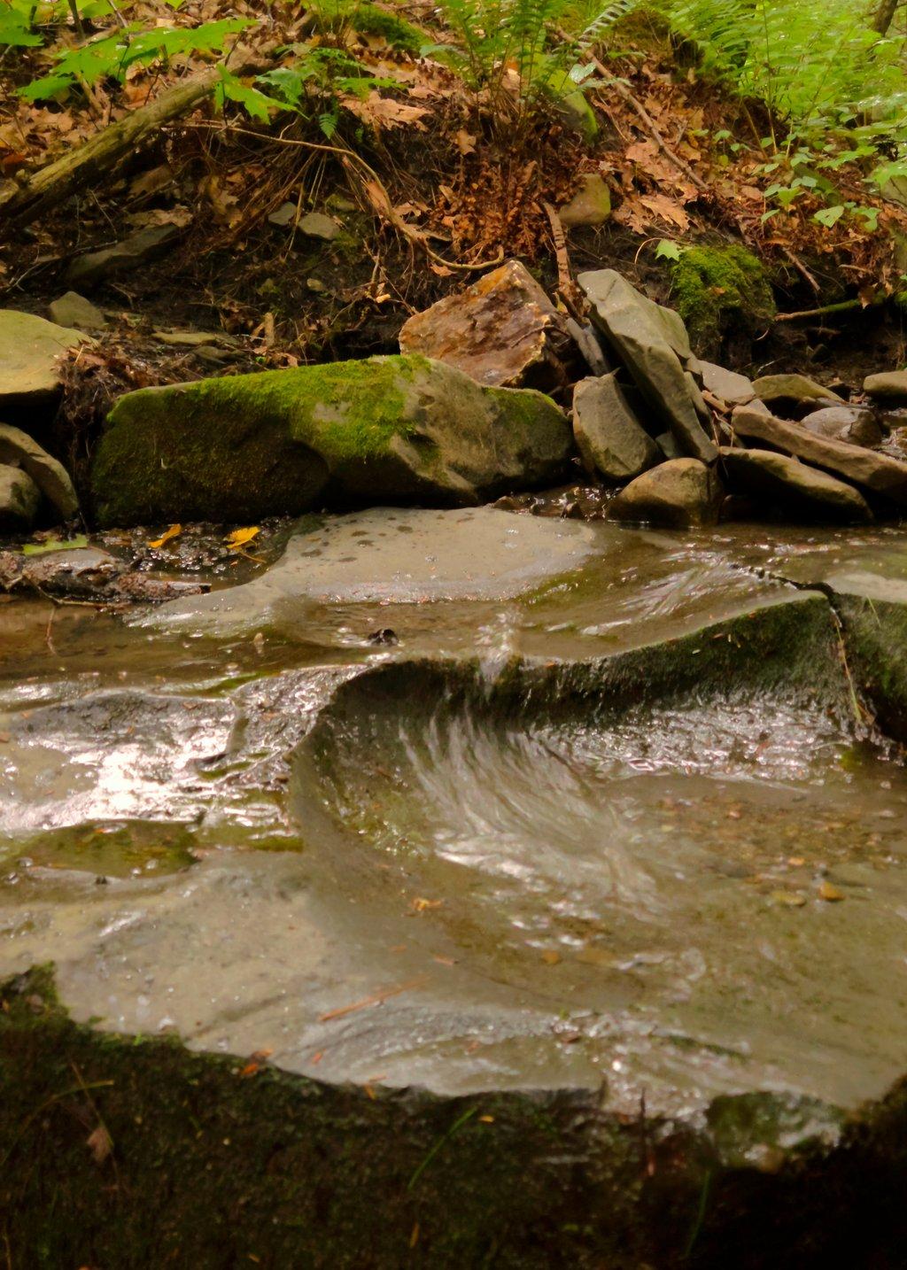 Mossy Stream