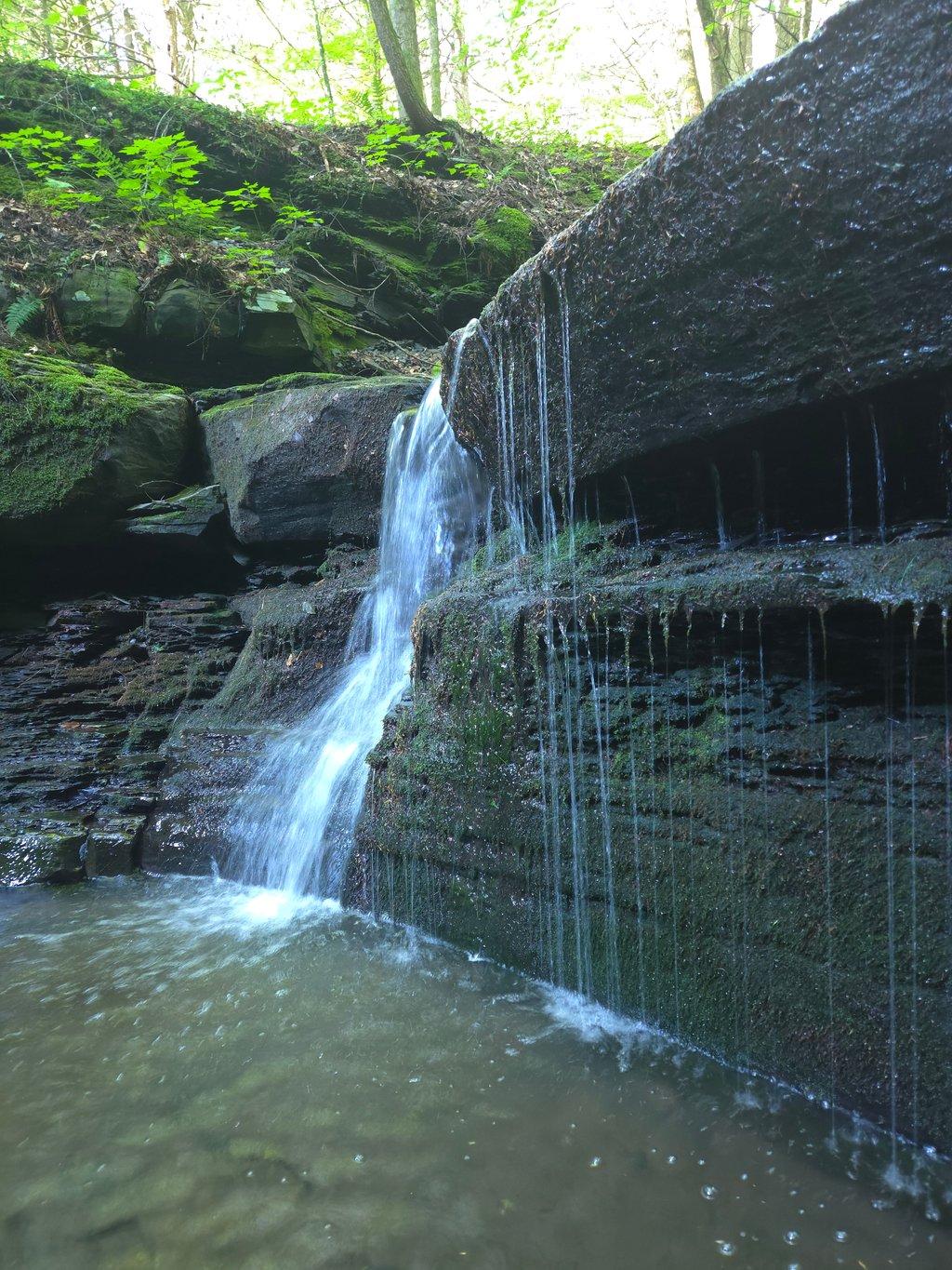Cascading Waterfall in Forest