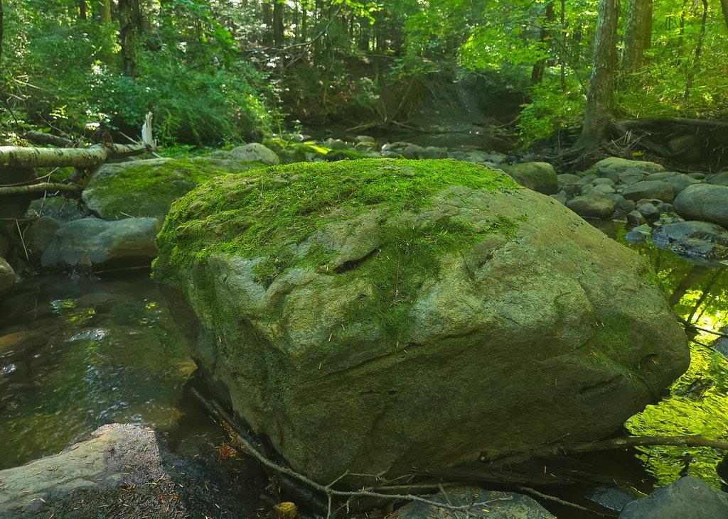 Mossy Rock
