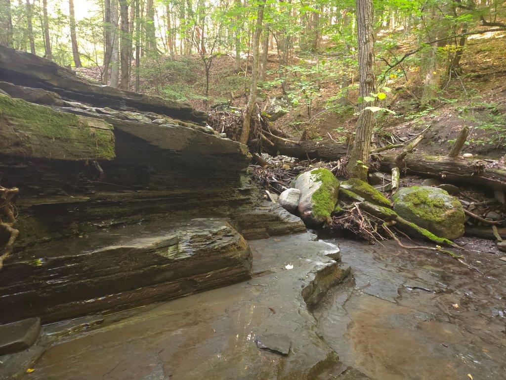Rocky Forest Ledge