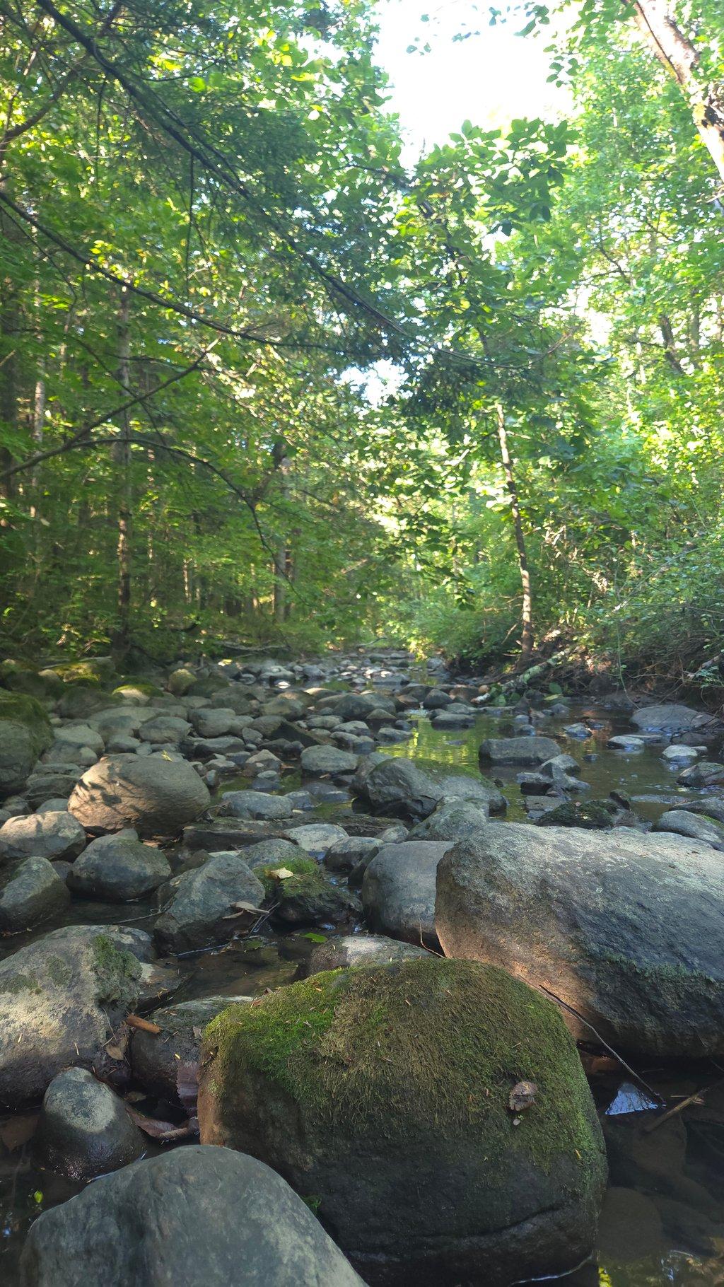 Rocky Stream on a Sunny Morning