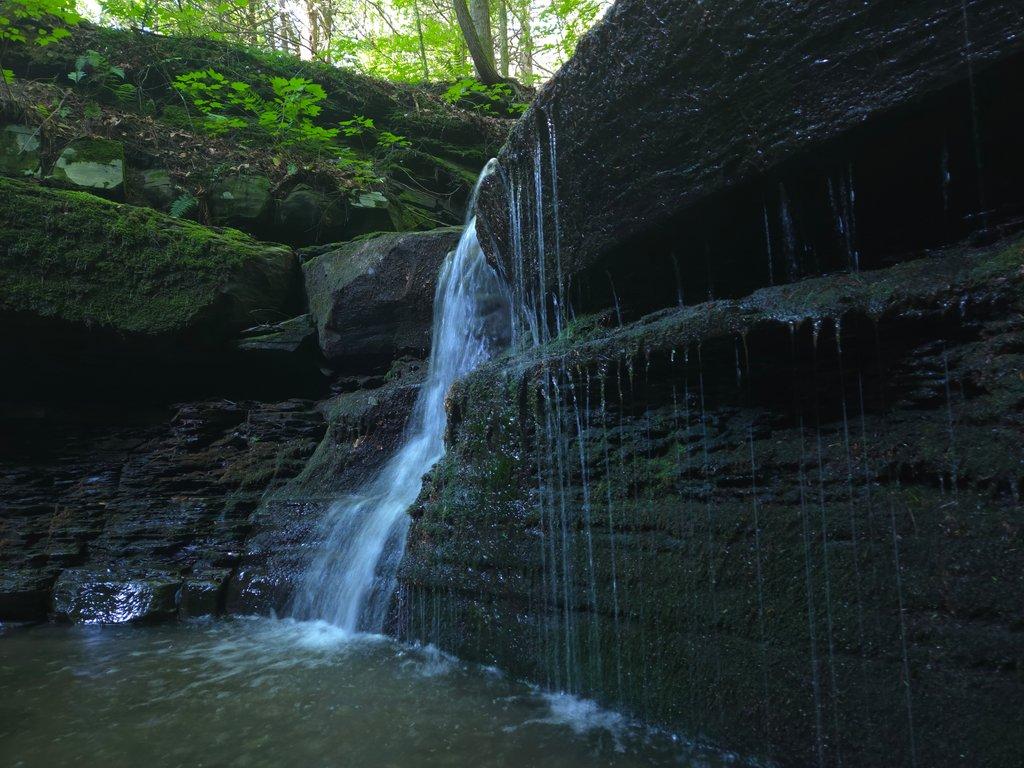 Forest Creek Waterfall